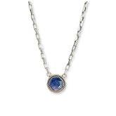 Vision Necklace
